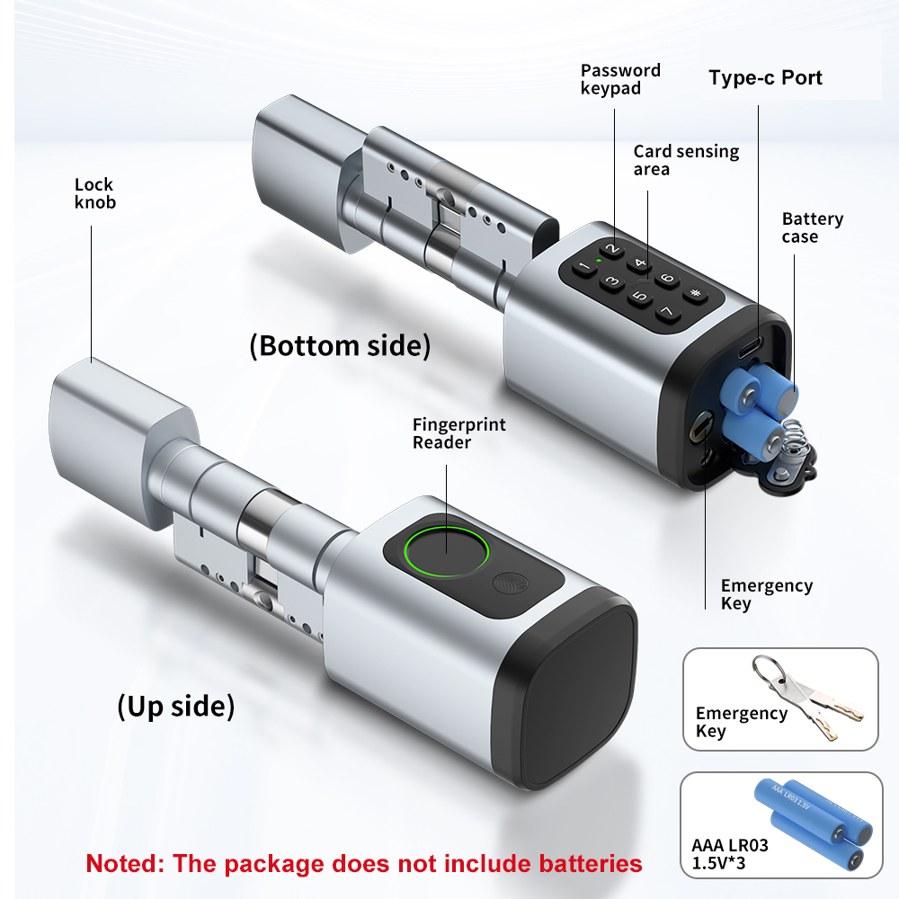 RAYKUBE S1 Tuya BLE TT Khóa Th - đánh giá và giá Home Automation System Diy